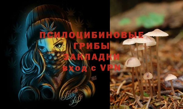 таблы Алексин