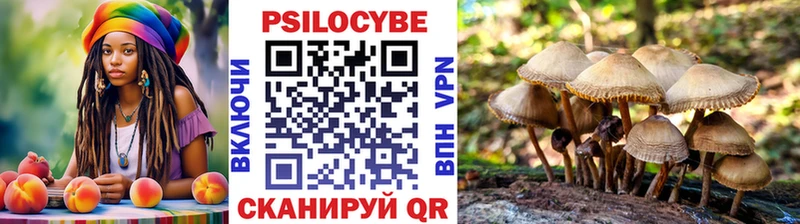 блэк спрут вход  Новомосковск  Галлюциногенные грибы Psilocybine cubensis 