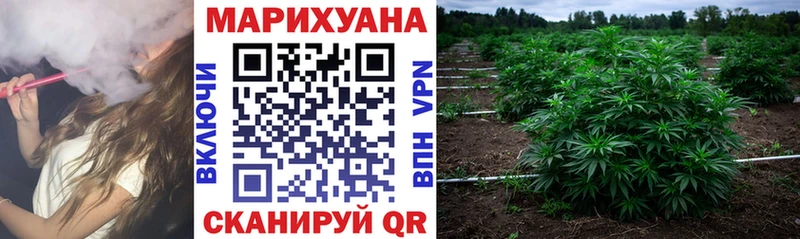 МАРИХУАНА OG Kush  блэк спрут ссылка  Новомосковск 